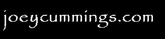 Visit the joeycummings.com homepage...