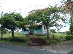 A house near Futiga. I liked the way it looked with the flame tree hovering over it.